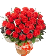 Only rose 4 (Size 30 bông)