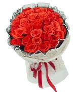 Only rose premium 2 (Size 30 bông)