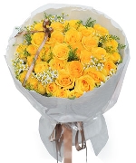 Only rose premium 12