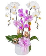 Spring 3