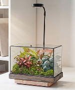 All you need