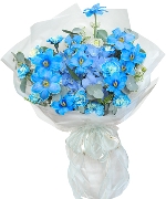 Azure Tulip