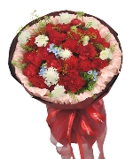 Scarlet bloom