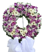 Rays Of Light Spray 2