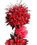 Lucky Flower