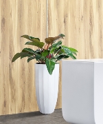 Đại Đế Vương