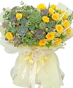 Kệ hoa sen đá mini 2