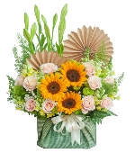 Light in the morning