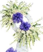 Kệ tang lan thái trắng 2