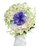 Kệ tang lan thái trắng 3