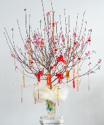 Cành đào ngày tết 01