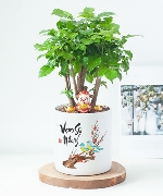 New year celebration